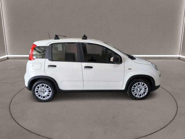 FIAT Panda 3ª serie - 1.0 FireFly S&S Hybrid