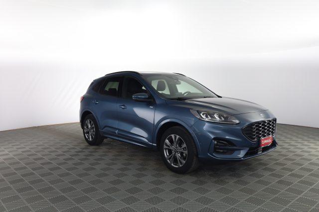 FORD Kuga Kuga 2.5 Plug In Hybrid 225 CV CVT 2WD ST-Line