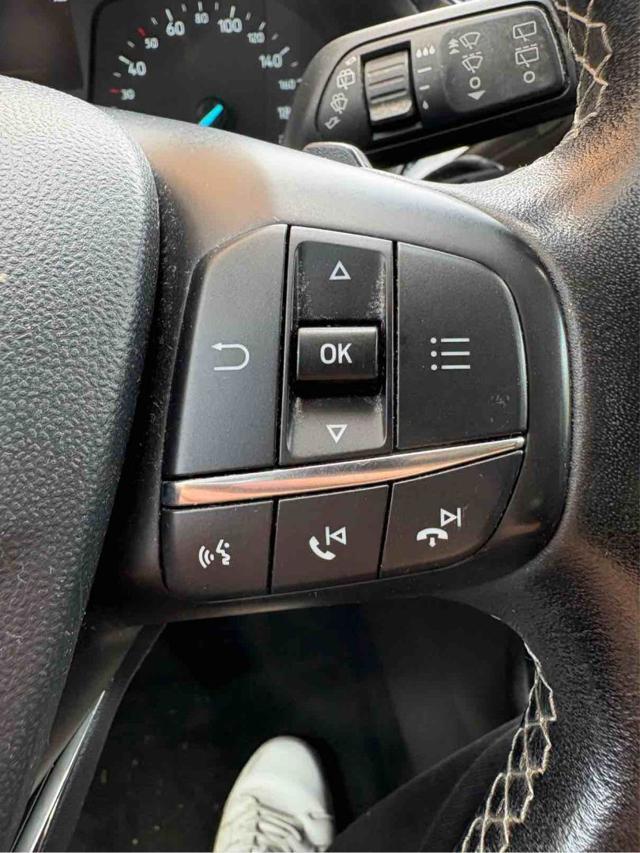 FORD Fiesta 1.0 EcoBoost 100CV 5 porte Powershift Titanium