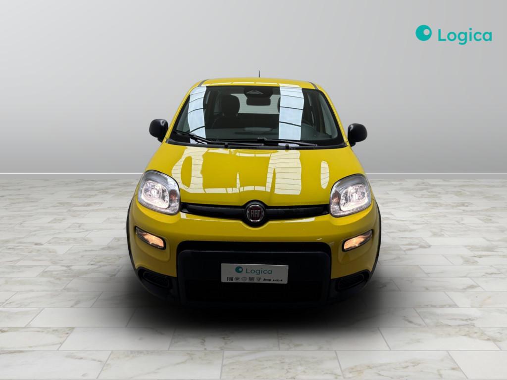 FIAT Panda III 2024 - Panda 1.0 firefly hybrid s&s 70cv