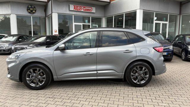 FORD Kuga 1.5 EcoBlue 120 CV aut. 2WD ST-Line IVA ESPOSTA