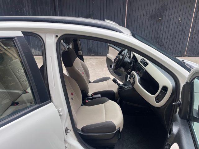FIAT Panda 1.2 Easy euro 6 benzina distribuzione eseguita