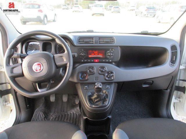 FIAT Panda 1.2 8v Easy S&S 69cv-2019 KM60000