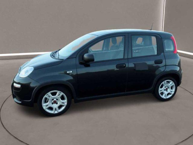 FIAT Panda 3ª serie - 1.0 FireFly S&S Hybrid
