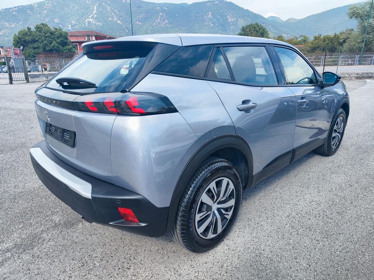 Peugeot 2008 PureTech 100 S&S Active Pack