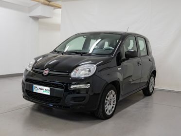 Fiat Panda 1.2 51kw Benzina