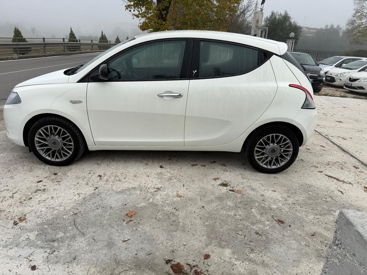 Lancia Ypsilon 1.3 MJT 16V 95 CV 5 porte S&S Platinum