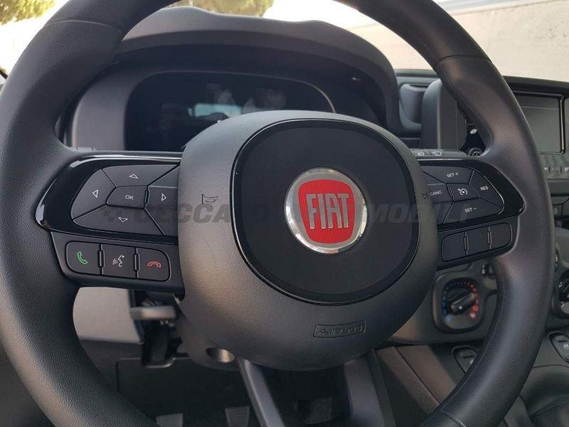 FIAT Panda Panda 1.0 firefly hybrid s&s 70cv 5p.ti