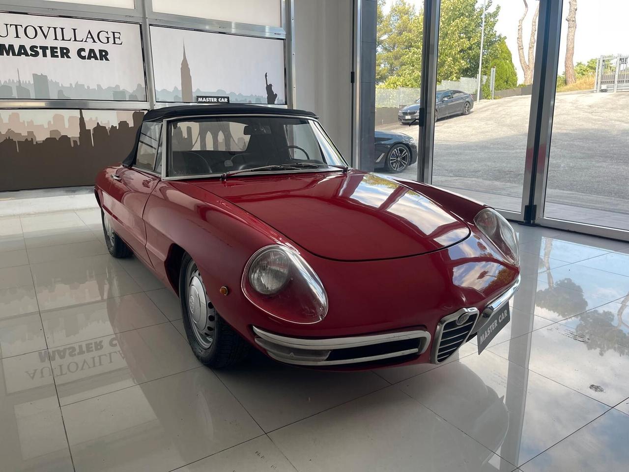 Alfa Romeo Spider duetto osso di seppia