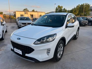 Ford Kuga 1.5 EcoBlue 120 CV aut. NAVI