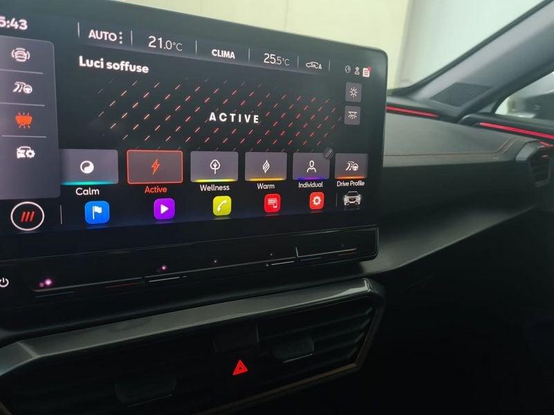 CUPRA Formentor 2.0 TDI 4Drive DSG *IVA ESPOSTA*