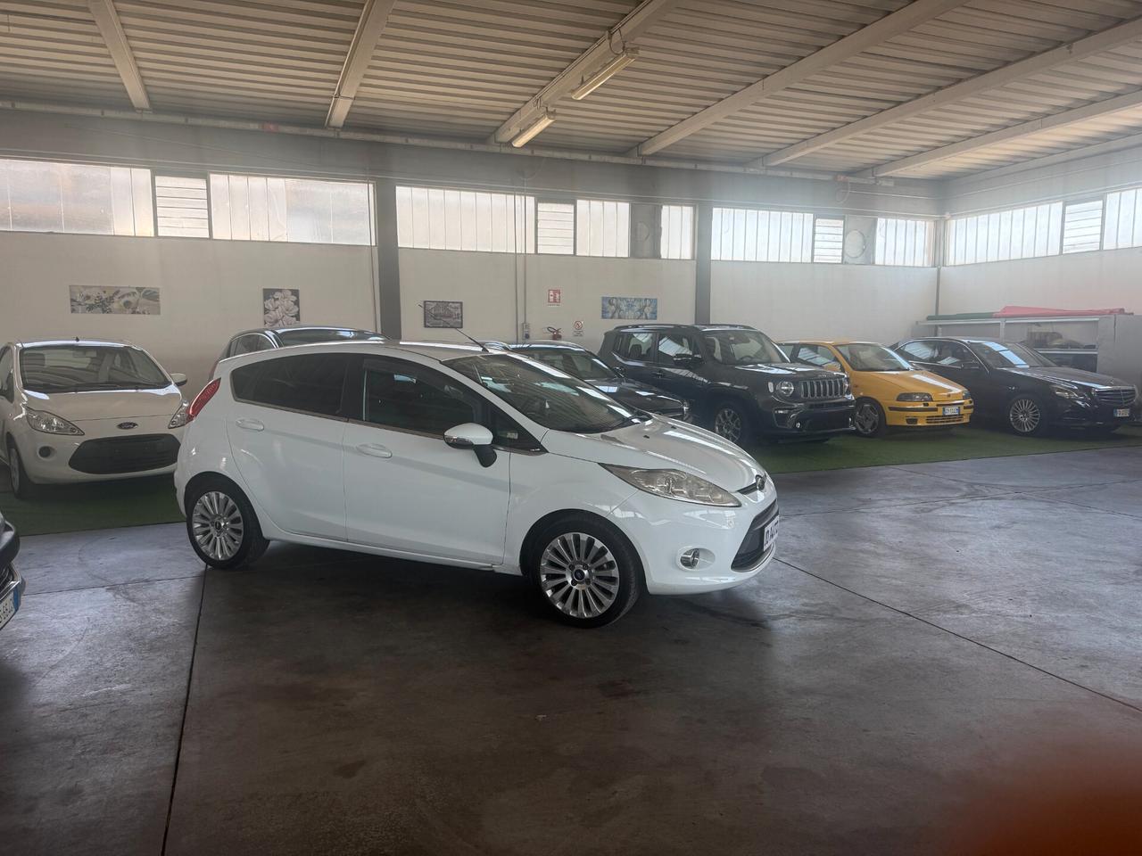 Ford Fiesta 1.4 TDCi 68CV 5 porte Titanium