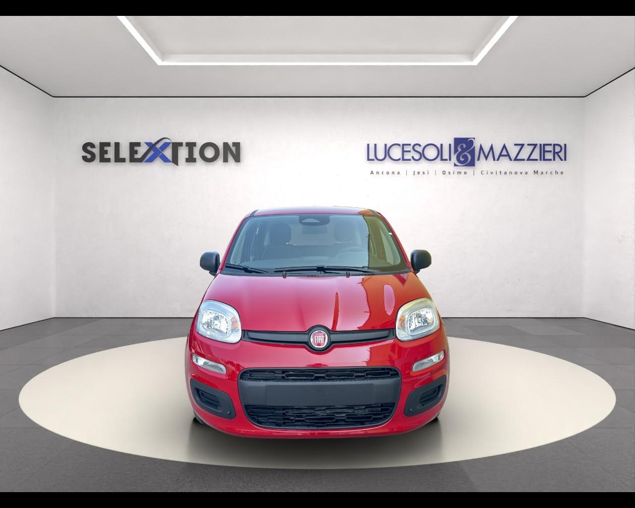 FIAT Panda 1.0 70cv Hybrid Panda