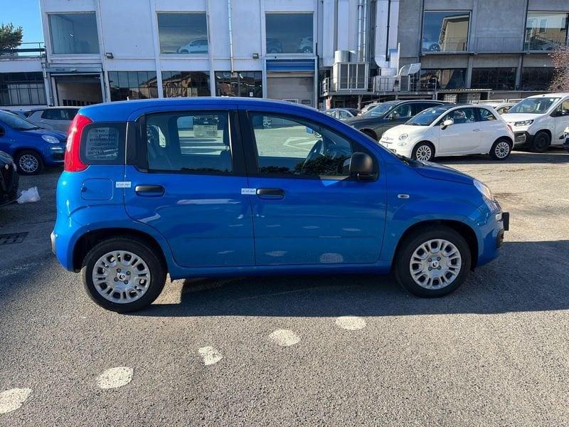 FIAT Panda Panda 1.0 FireFly S&S Hybrid Icon