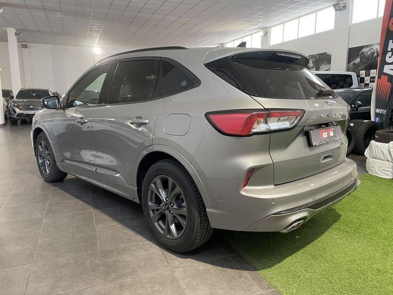 Ford Kuga Kuga 1.5 EcoBlue 120 CV aut. 2WD Titanium Business