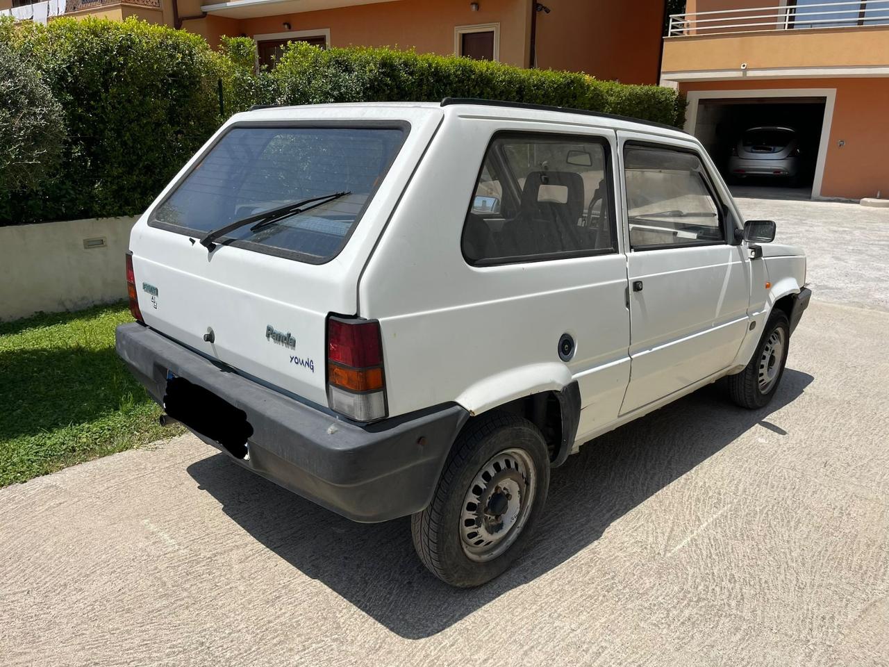 Fiat Panda 900 i.e. cat Young