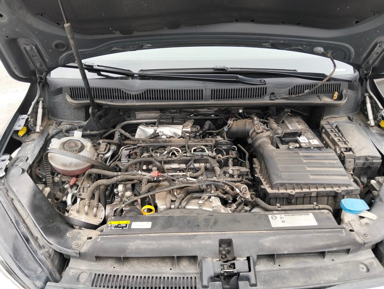 Volkswagen Touran 1.6 TDI 115 DSG 2018 Motore da Rivedere