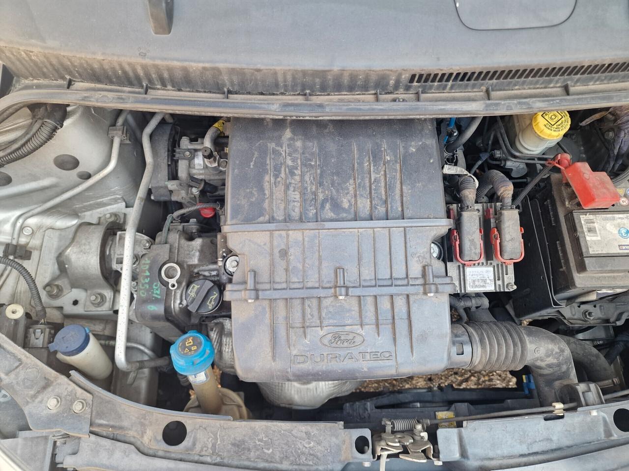 Ford Ka Ka+ 1.2 8V 69CV