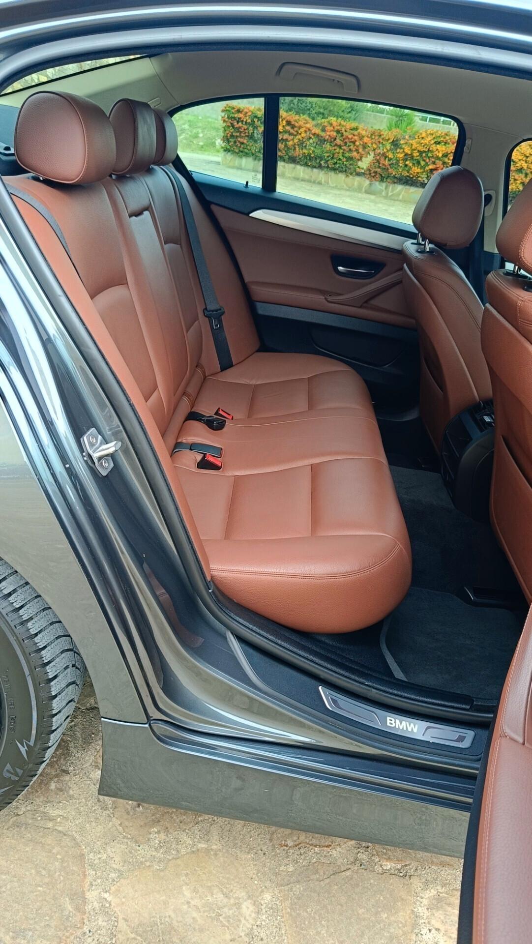 Bmw 520 520d xDrive Luxury