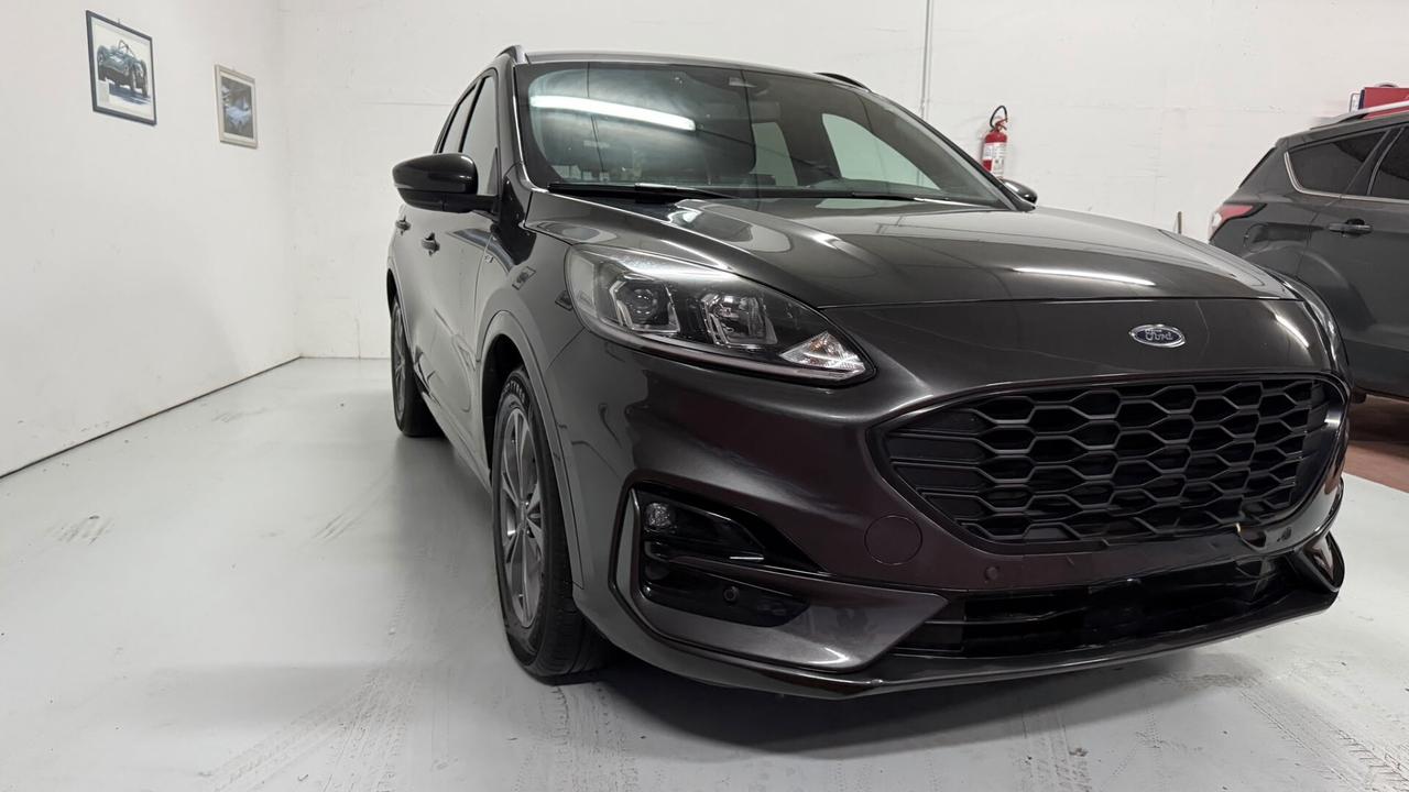 Ford Kuga 1.5 EcoBlue 120 CV 2WD ST-Line x