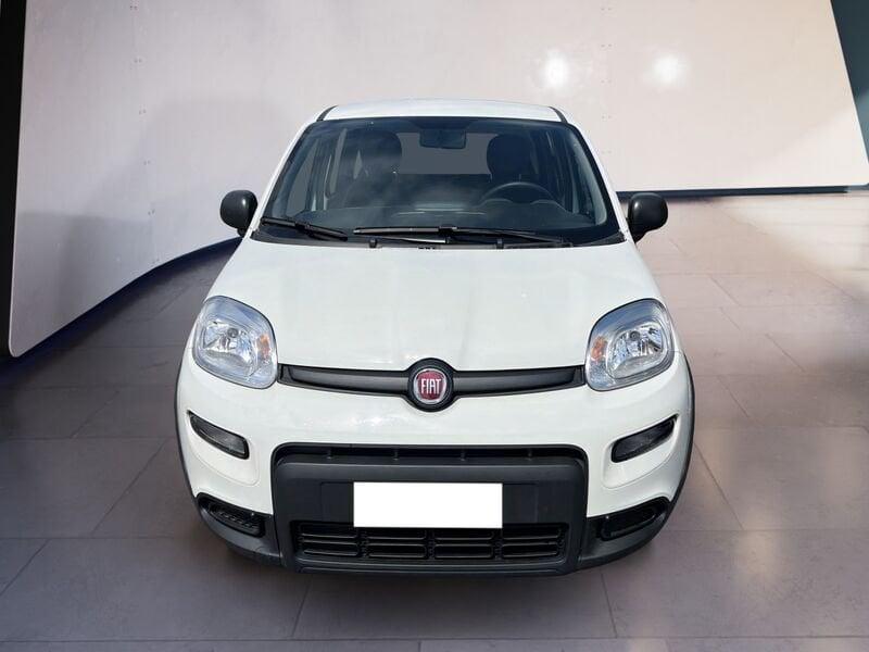 FIAT Panda My23 1.0 70cv Hybrid Panda