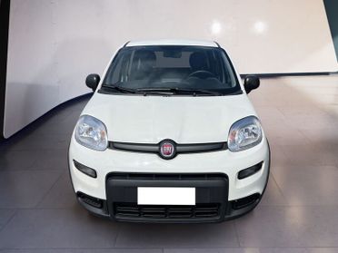 FIAT Panda My23 1.0 70cv Hybrid Panda