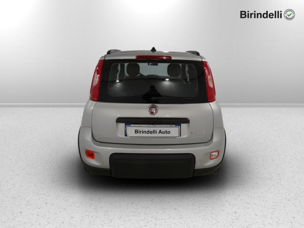 FIAT Panda 3ª serie - Panda 1.0 FireFly S&S Hybrid City Life