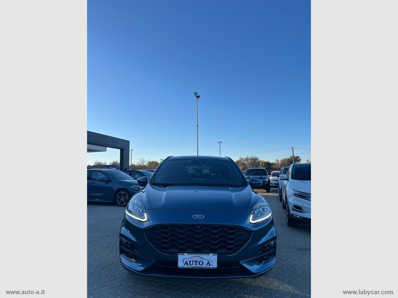 FORD Kuga 1.5 EcoBlue 120 CV aut. 2WD ST-Line