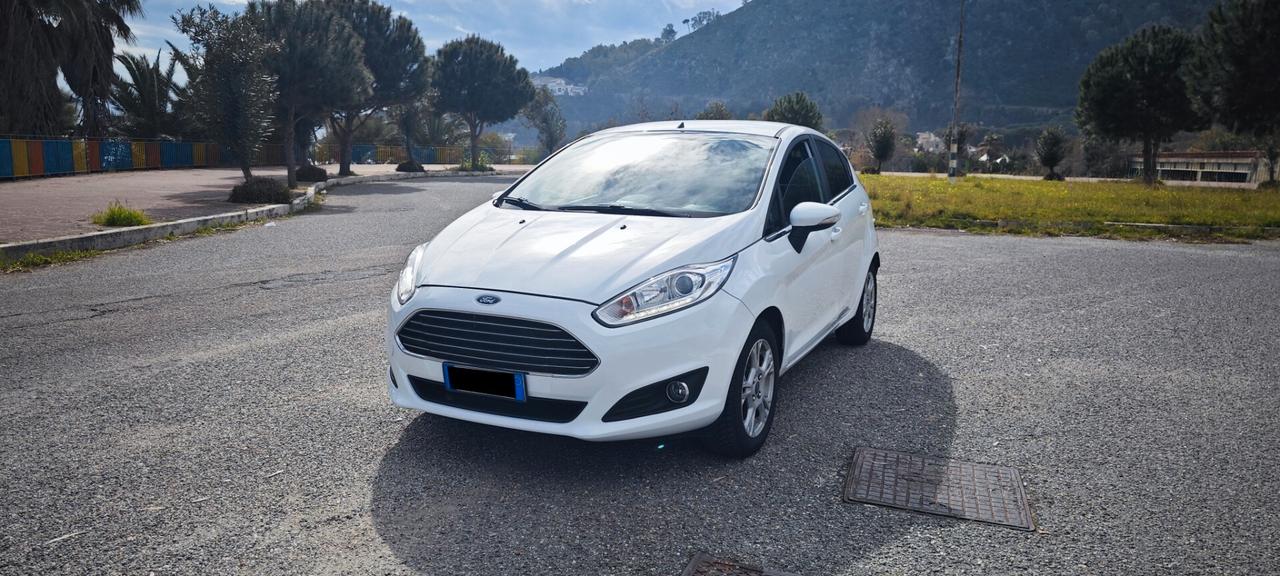 Ford Fiesta 1.2 82CV 5 porte Black & White Edition