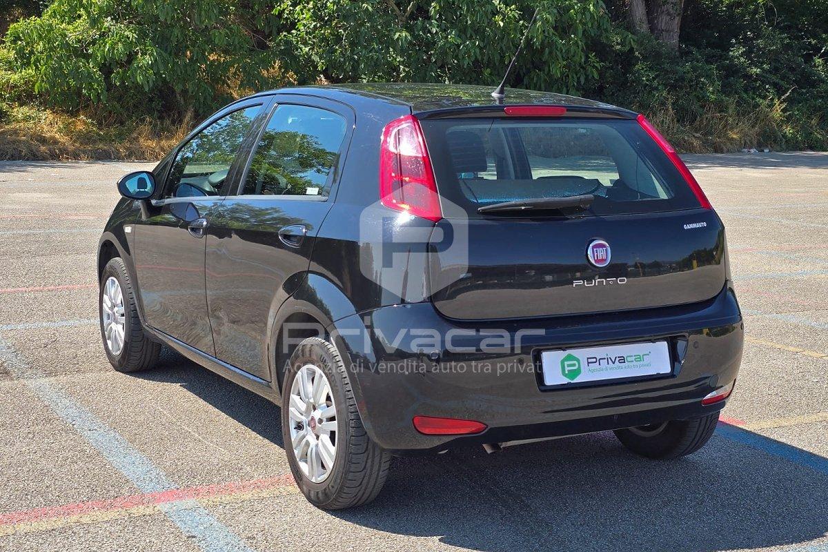 FIAT Punto 1.4 8V 5 porte Natural Power Lounge