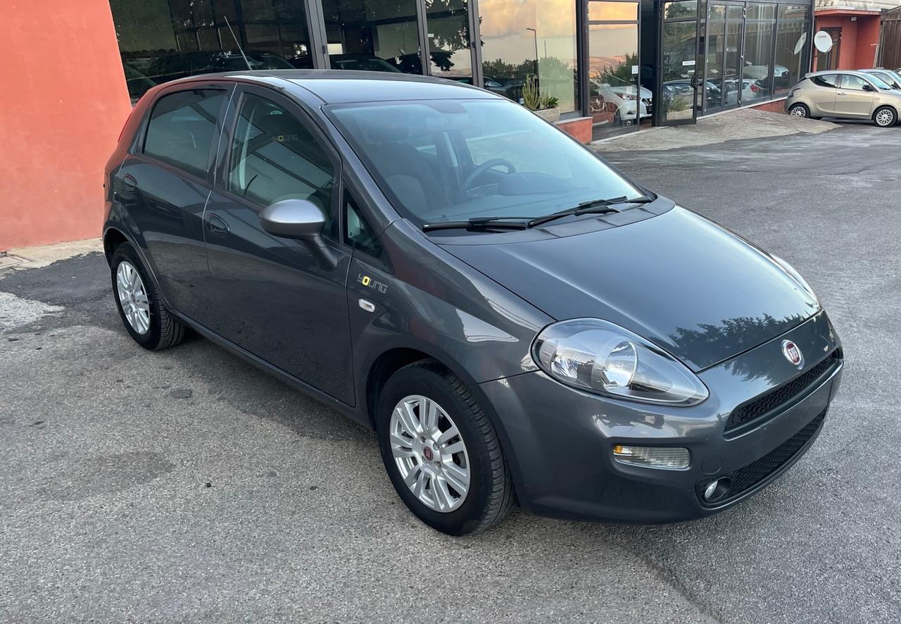 Fiat Punto 1.2 8V 5 porte Young-solo km 55900-