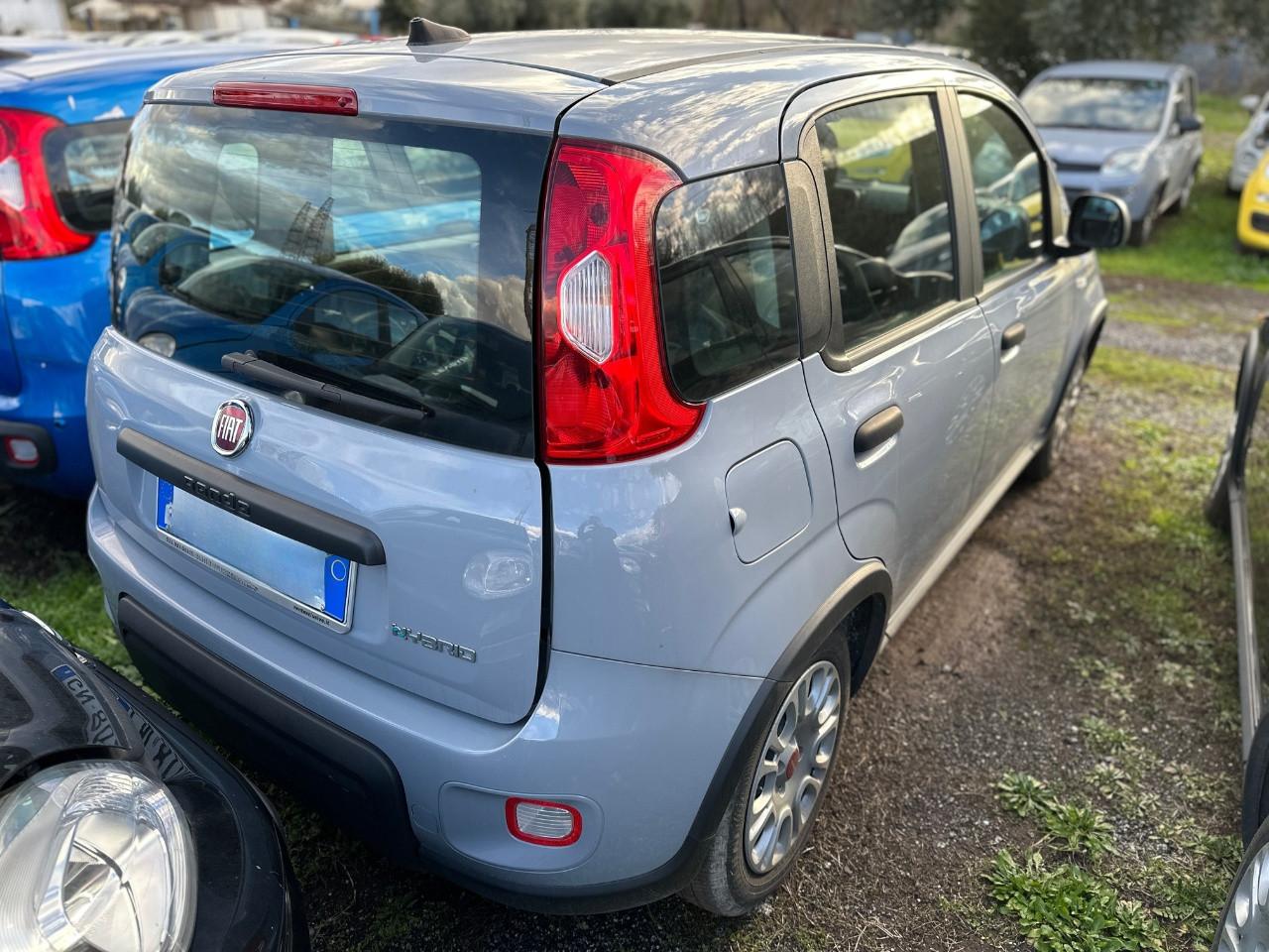 FIAT Panda III 2021 - Panda 1.0 firefly hybrid s&s 70cv 5p.ti