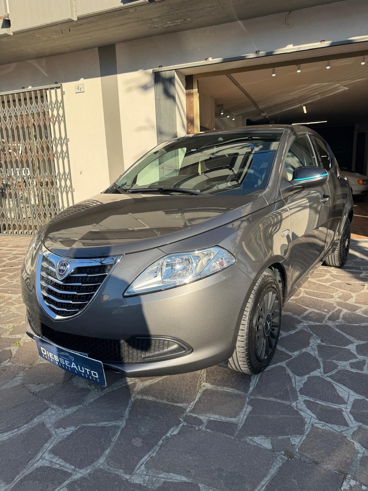 Lancia Ypsilon 1.2 69 CV 5 porte Elefantino