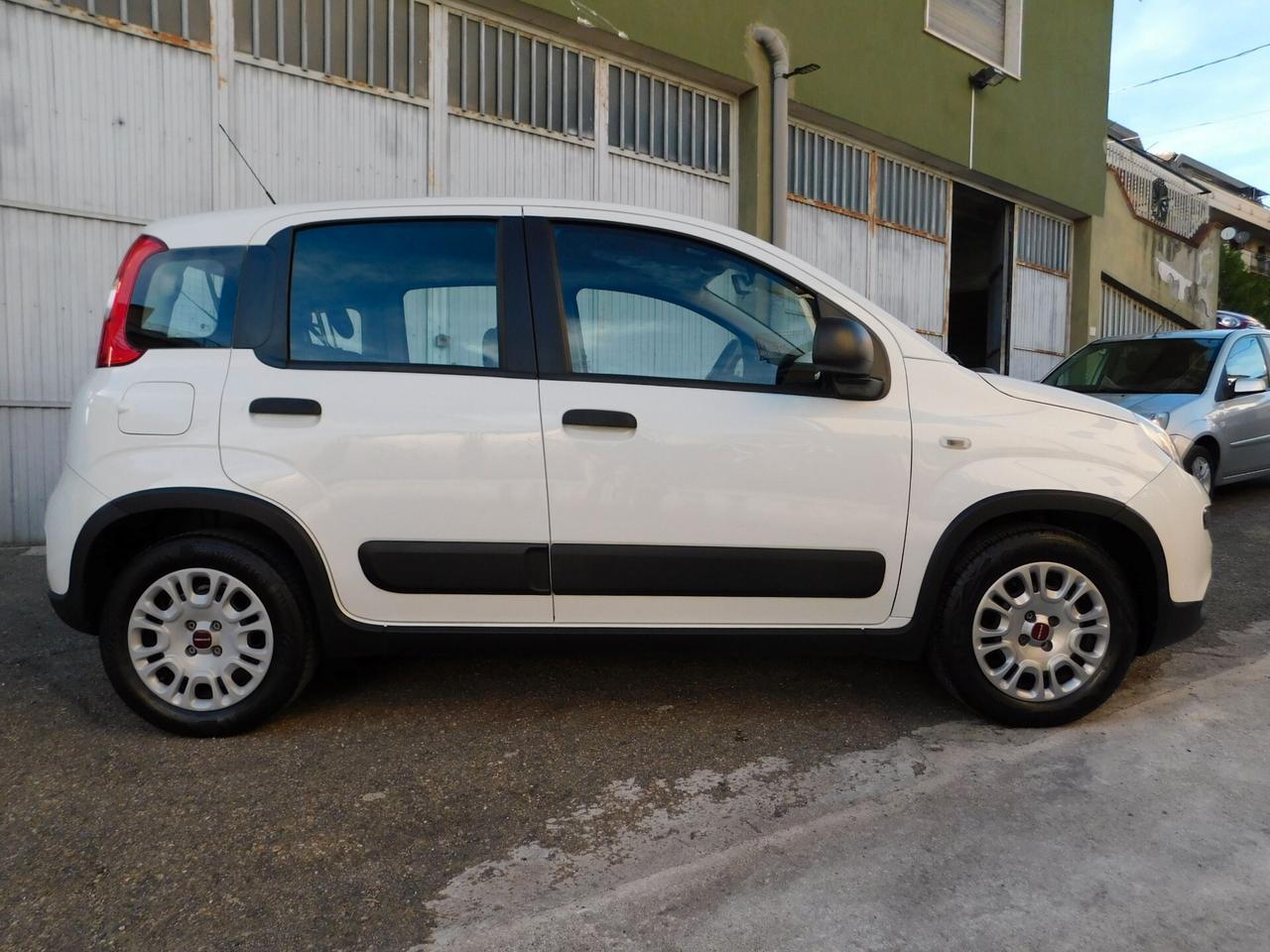 PANDA 1.0 Hybrid AUTOCARRO 4posti N1