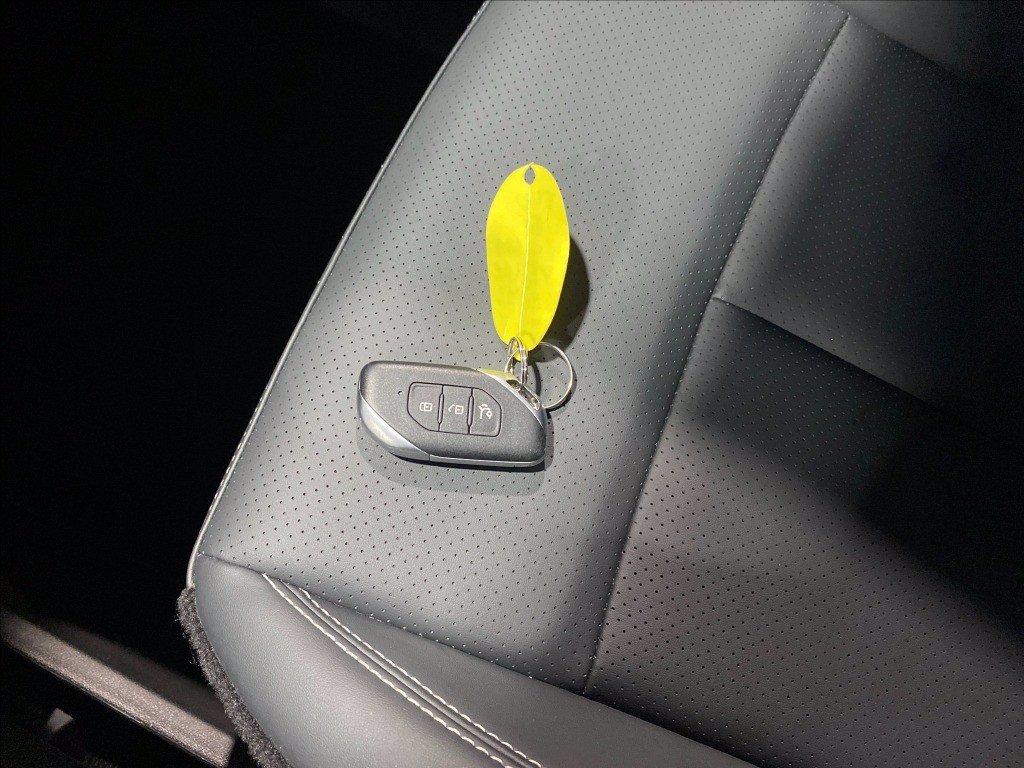 EVO Evo 6 1.5 turbo Gpl 167cv dct del 2024