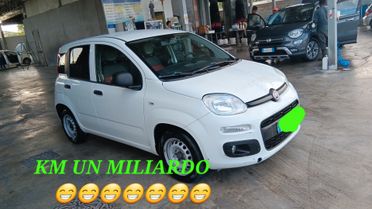 Fiat Panda VAN USATO PERFETTO MONDIALCARS