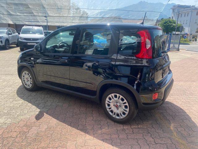 FIAT Panda 1.0 Mild- Hybrid PERFETTE CONDIZIONI D'USO