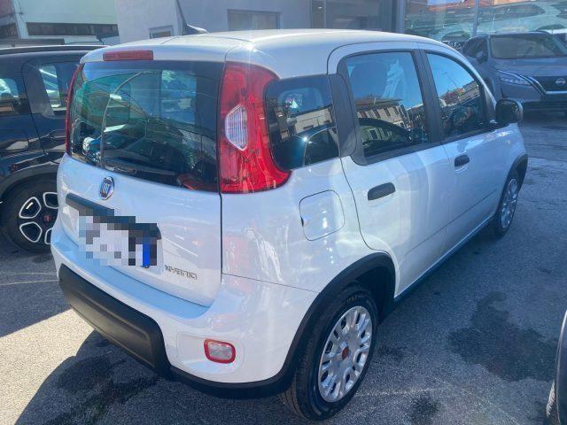 FIAT Panda 1.0 FireFly S&S Hybrid/GPL