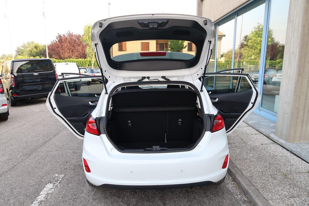 Ford Fiesta 1.0 Ecoboost Hybrid 125 CV 5 porte Titanium
