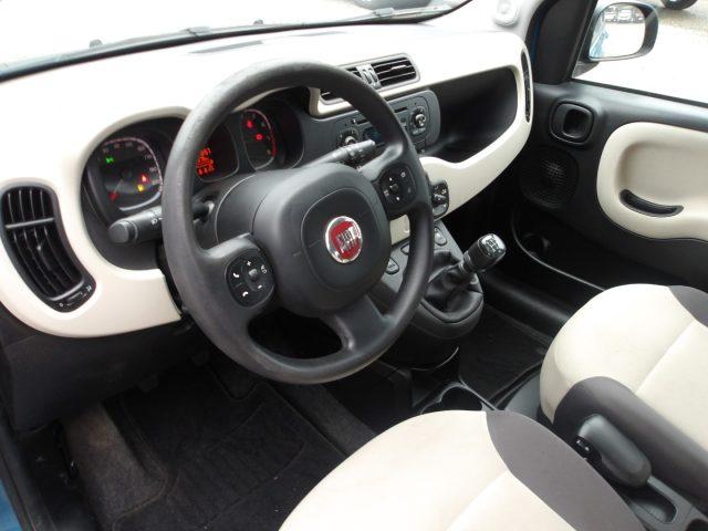 FIAT Panda 1.2 NEOPATENTATI - CINGHIA OK