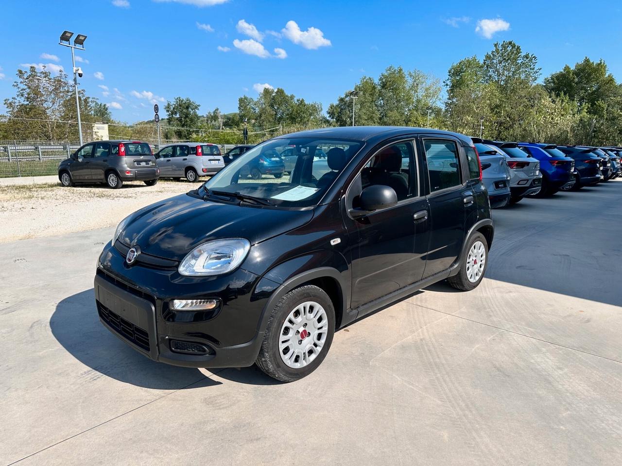 Fiat Panda 1.2 69CV GPL CASA MADRE - 2024