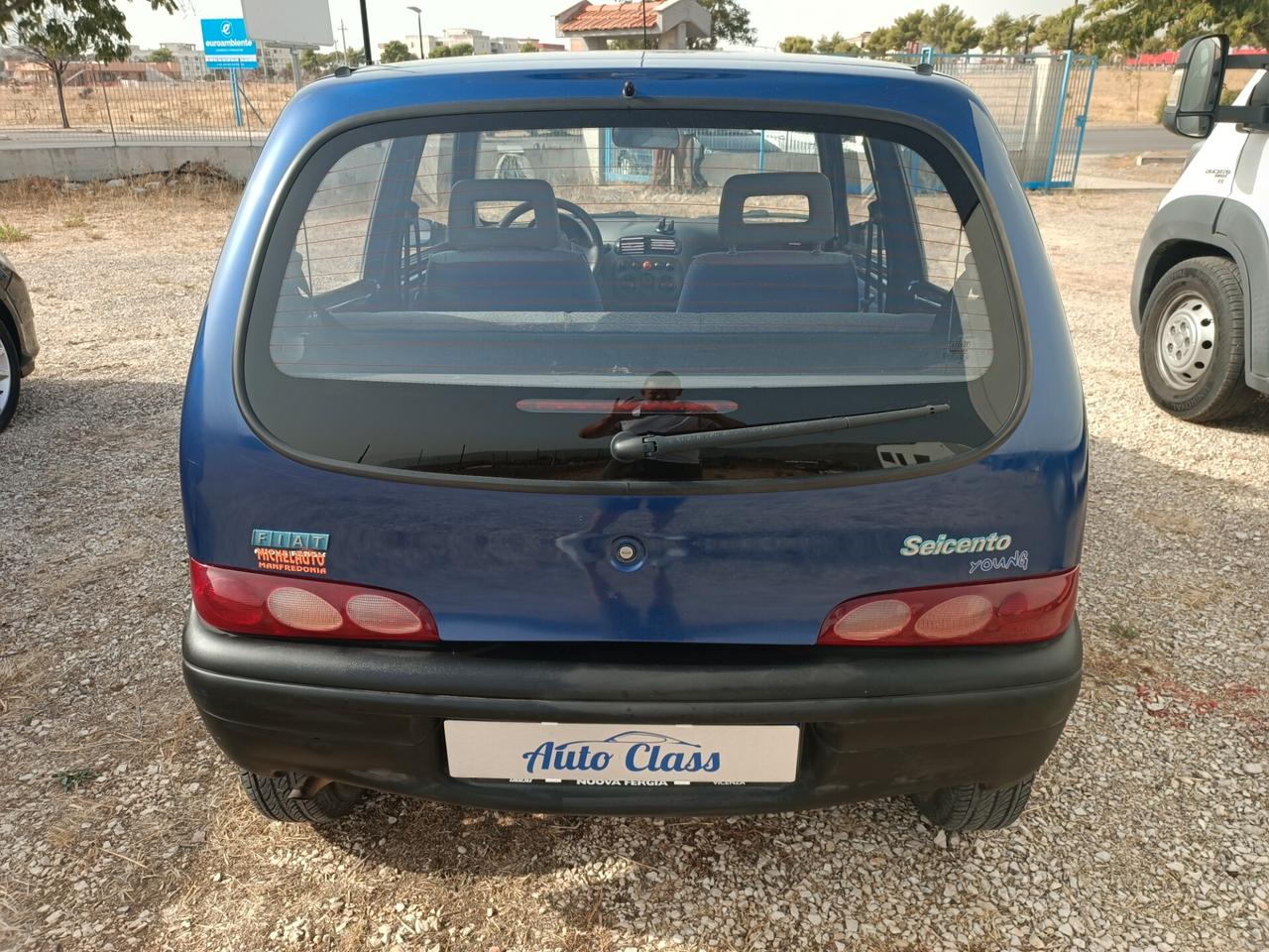 Fiat Seicento 900i cat Young