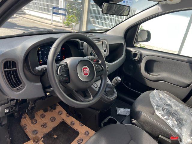 FIAT Panda 1.0 FireFly S&S Hybrid Icon tua da ?149,,00