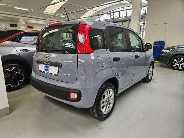 Fiat Panda Panda 1.0 hybrid Easy 70cv