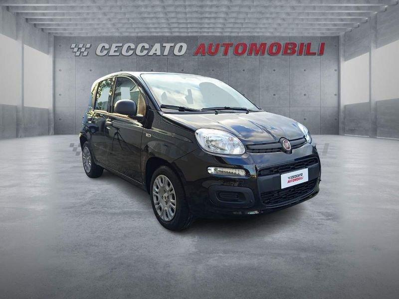 FIAT Panda Panda 1.0 firefly hybrid s&s 70cv