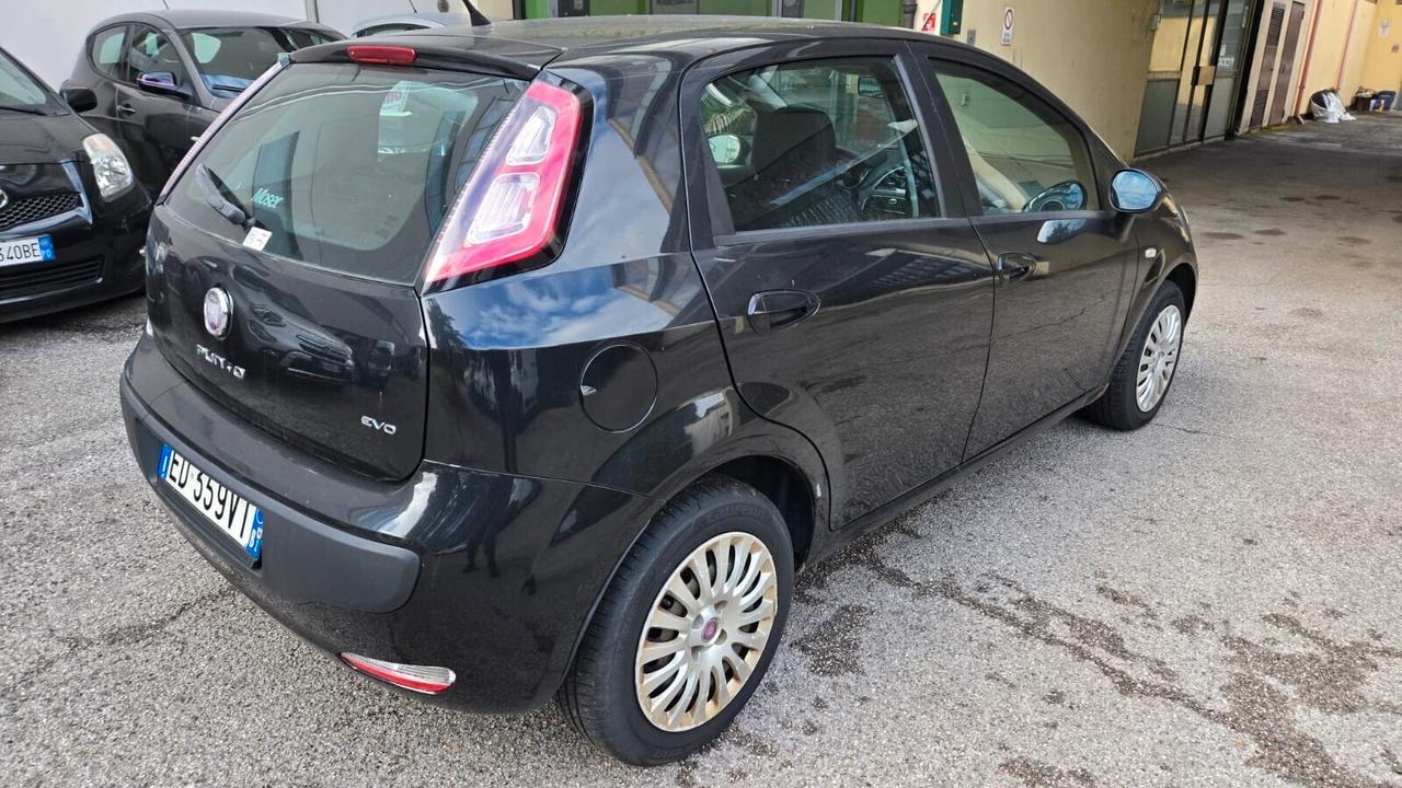 Fiat Punto Evo Punto Evo 1.2 5 porte Neopatentati