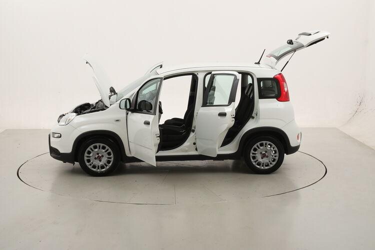 Fiat Panda Hybrid BR751276 1.0 Mild Hybrid 70CV