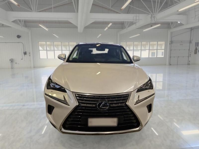 LEXUS NX 300h Hybrid Luxury 4WD