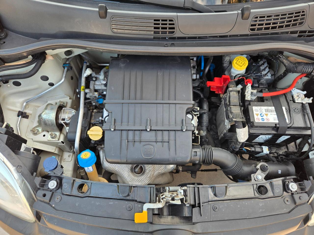 Fiat Panda 1.2 BENZINA 69 CV Van 2 posti - 2019