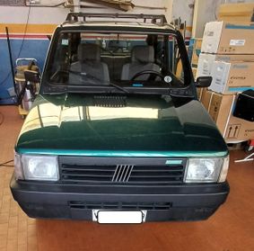 FIAT Panda 1ª serie 1000 i.e. cat 4x4 Trekking PUCK